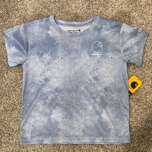 Carhartt Blue/Purple Short Sleeve Tee